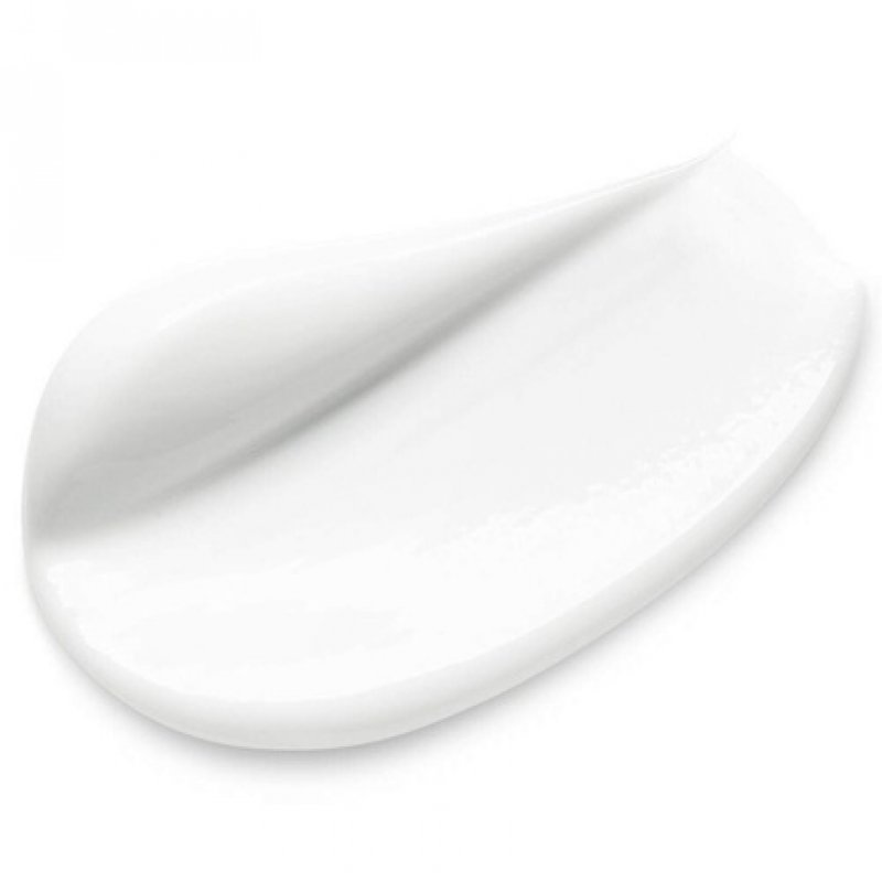 Garnier SkinActive Botanical Day Cream 50ml with Rosewater