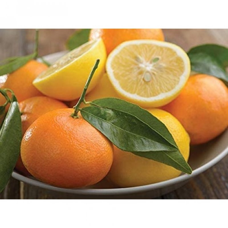 Elizabeth Arden My Fifth Avenue Body Cream 150ml