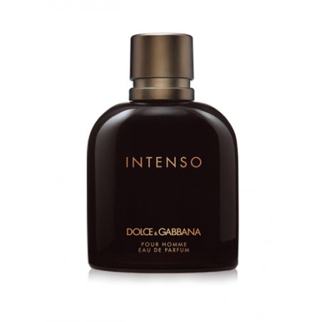 D&G DG PH Intenso EDP