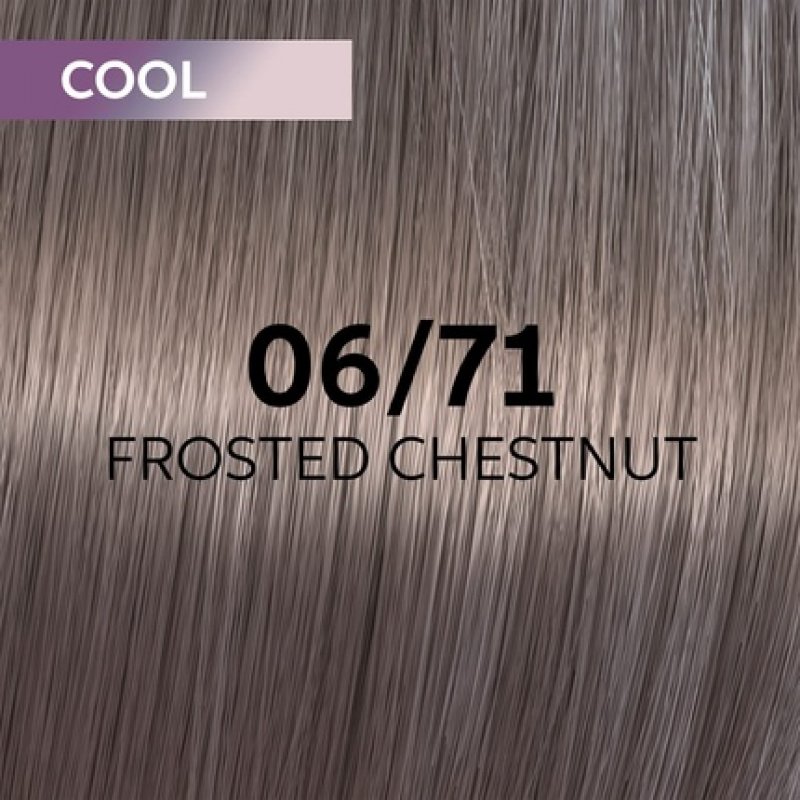 Shinefinity Frosted Chestnut Shade Hair Color 60ml