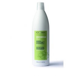 Oyster Cosmetics Sublime Fruit Shampoo with Regenerating and Detangling Olive Oil 1000ml