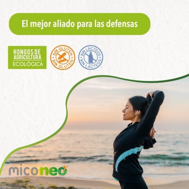 Mico NEO DEF Cat's Claw, Maitake, Sun Mushroom, Reishi, Shiitake, Cordyceps Organic Mushroom Supplement 60 Capsules