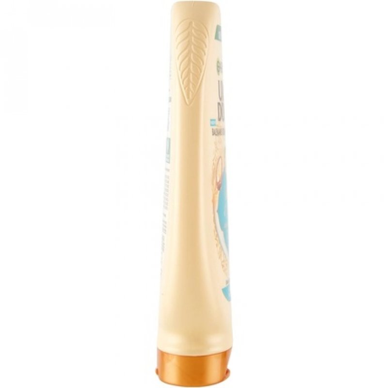 Garnier Argan Shampoo 250ml