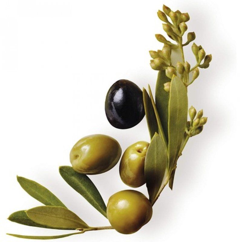 Garnier Original Remedies Mystic Olive Mask 300ml