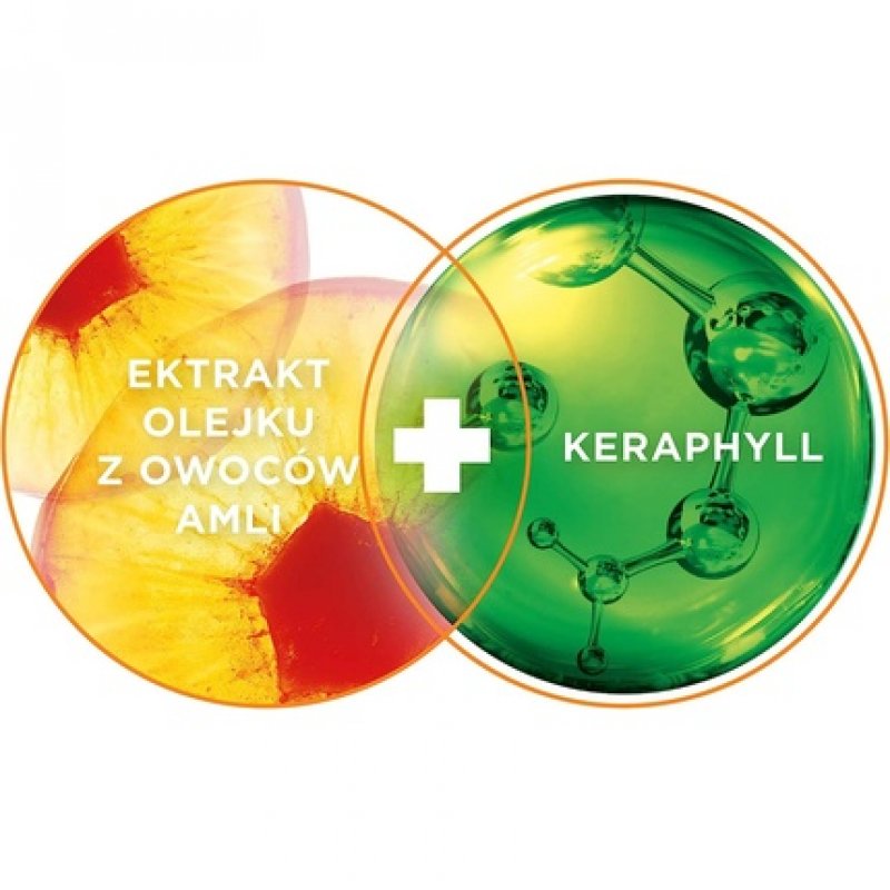 Garnier Fructis Goodbye Damage 10in1 Leave-In Hair Conditioner 400ml