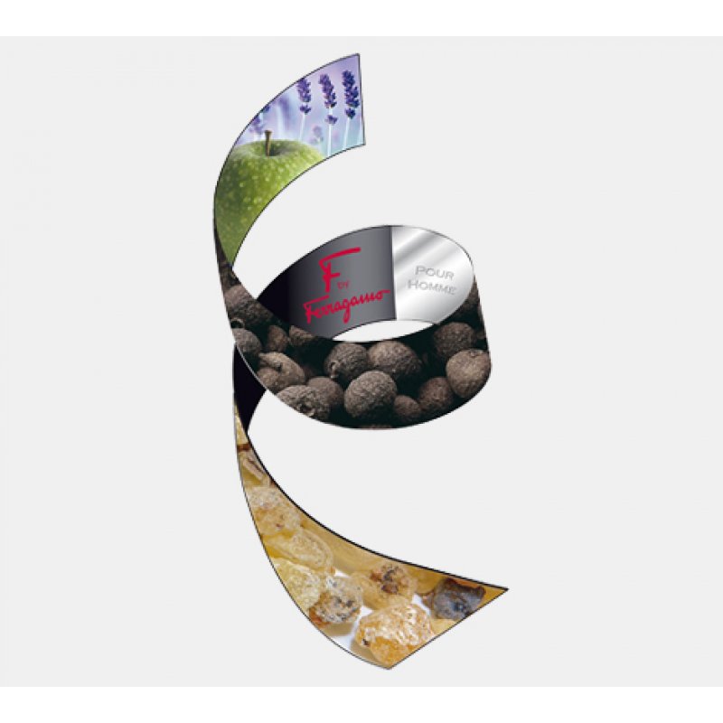 Salvatore Ferragamo F Eau De Toilette 100ml