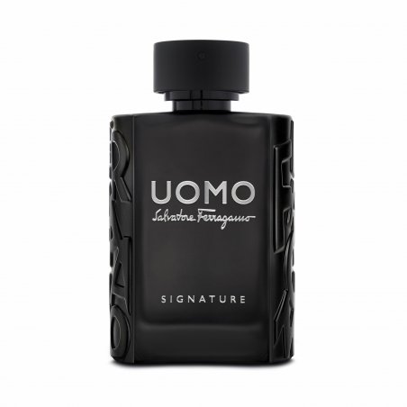 Salvatore Ferragamo Uomo Signature 100 ml Hommes