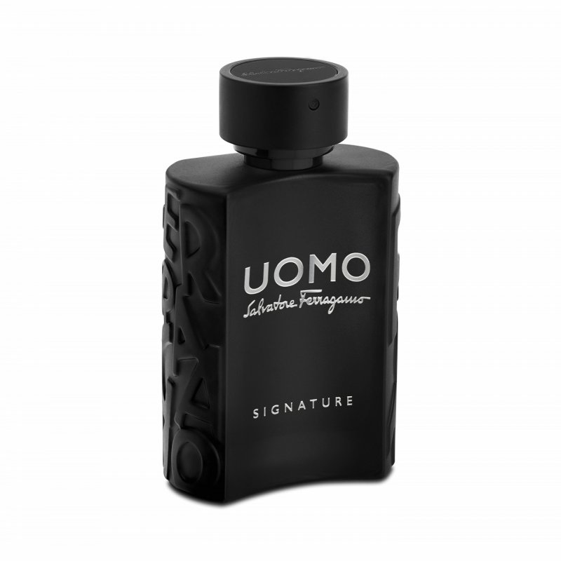 Salvatore Ferragamo Uomo Signature 100 ml Hommes