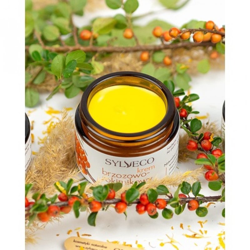 Sylveco Sanddorncreme with Birch 50ml