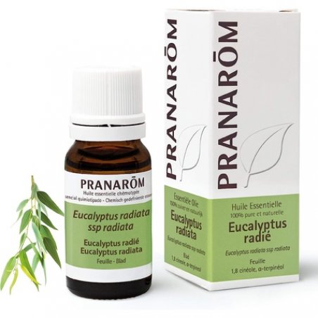 Pranarôm Eucalyptus Radiata Essential Oil 10ml