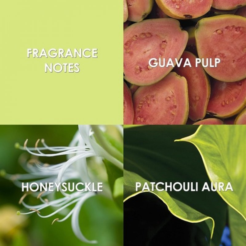 Britney Spears Believe 30ml Eau de Parfum Spray for Women