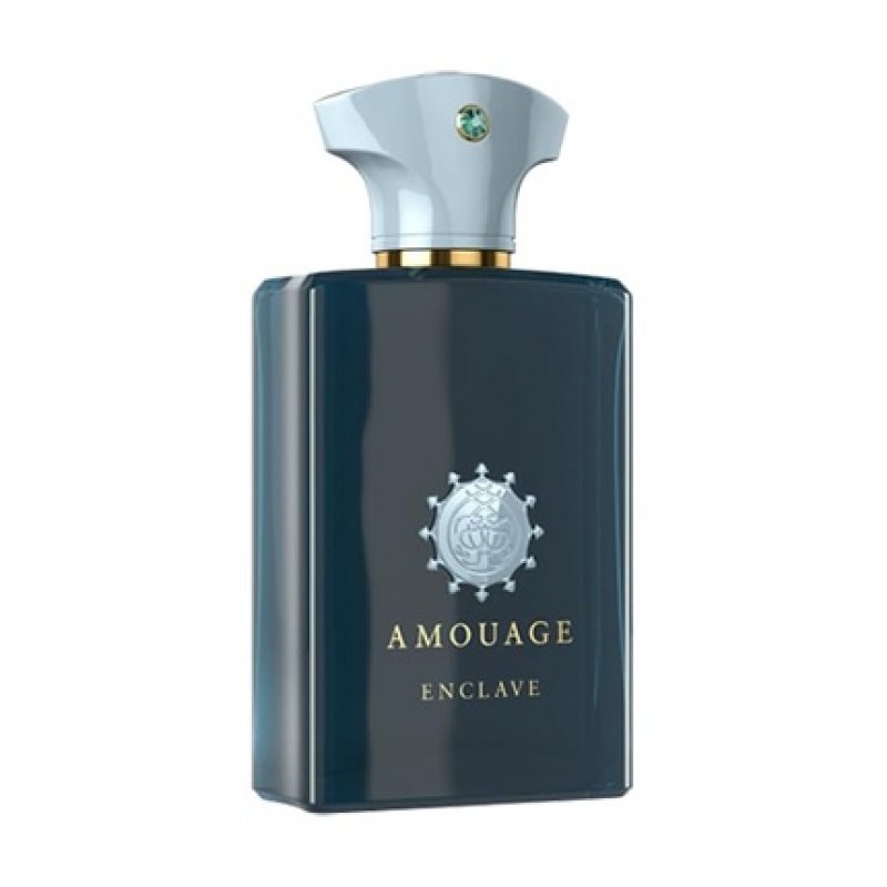 Amouage Enclave Eau de Parfum Spray 100ml