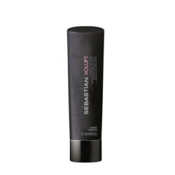 Sebastian Foundation Volupt Shampoo 250ml