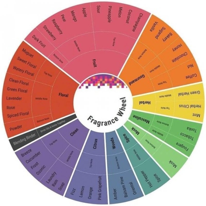 Bentley Infinite Rush Eau De Toilette Spray White Edition 3.4 oz 100 ml