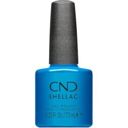 Shellac What's Old Is Blue Again