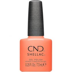 Shellac Silky Sienna