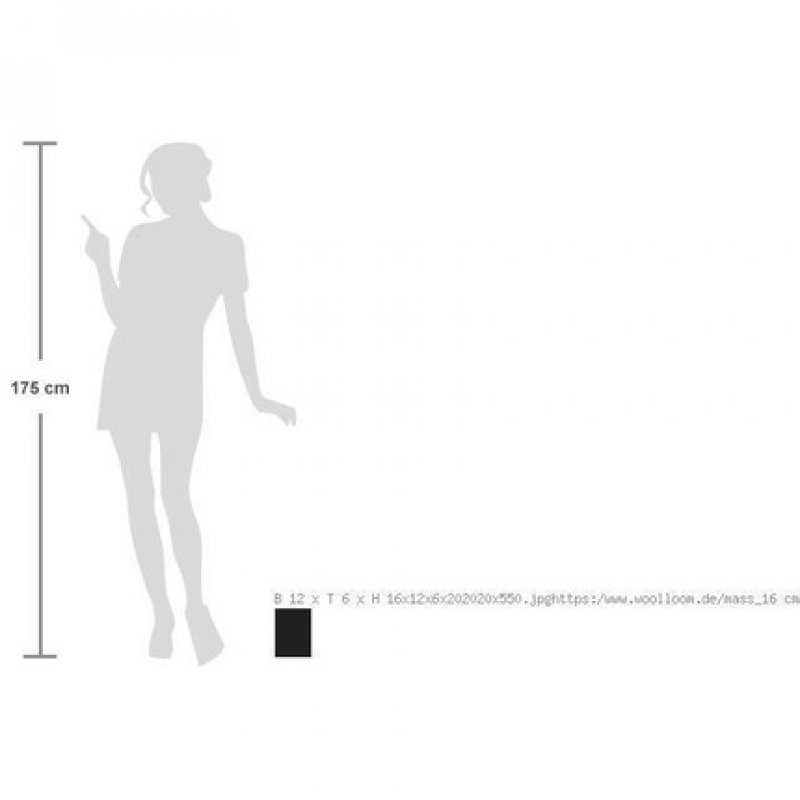 IDC Institute Cleansing and Exfoliating Brush