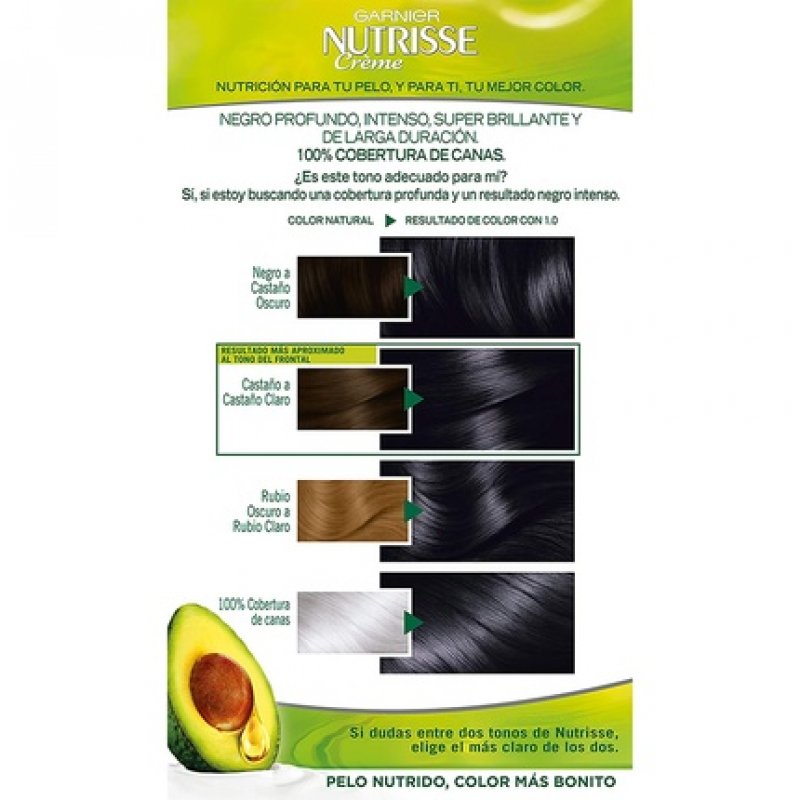 Garnier Nutrisse Creme Permanent Hair Color 1 Black with Four Oils Nutritive Mask 0.28kg