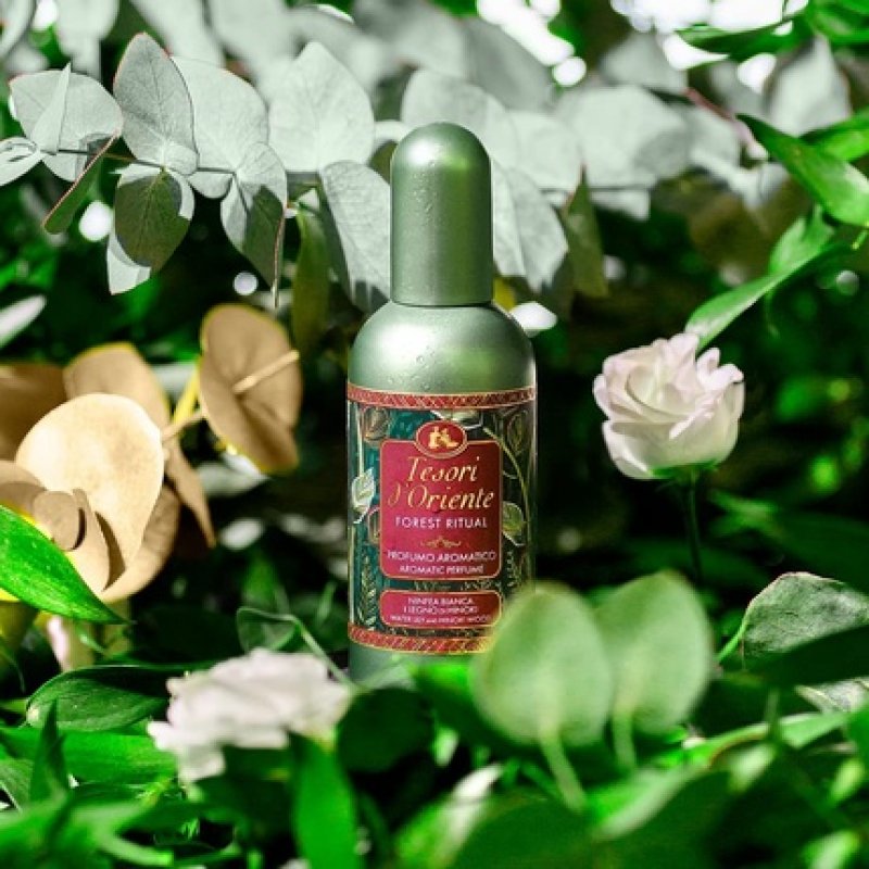 Tesori d'Oriente Forest Ritual Aromatic Scent White and Hinoki 100ml