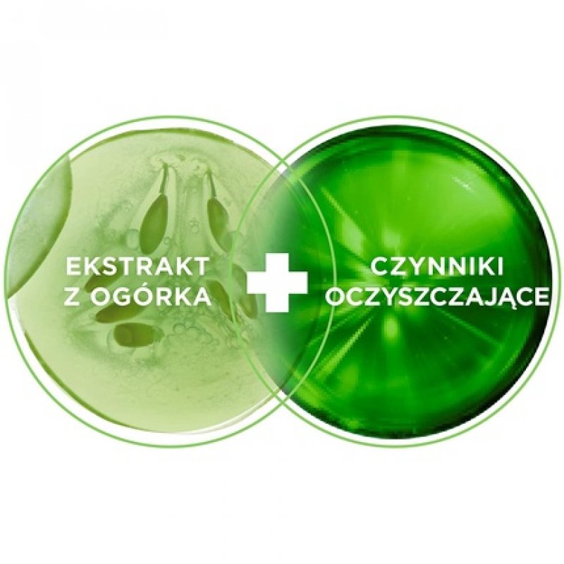 Garnier Fructis Fresh Shampoo for Normal and Greasy Hair 400ml