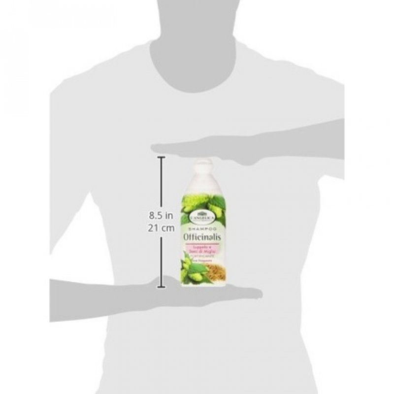 L'Angelica Officinalis Shampoo Fortyfing with Hop and Millet Seeds 250ml - 8.45fl.oz