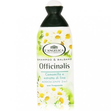 L Angelica SH 2 in 1 Delicate 250ml