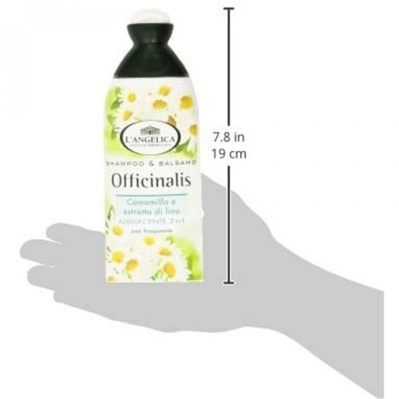L Angelica SH 2 in 1 Delicate 250ml