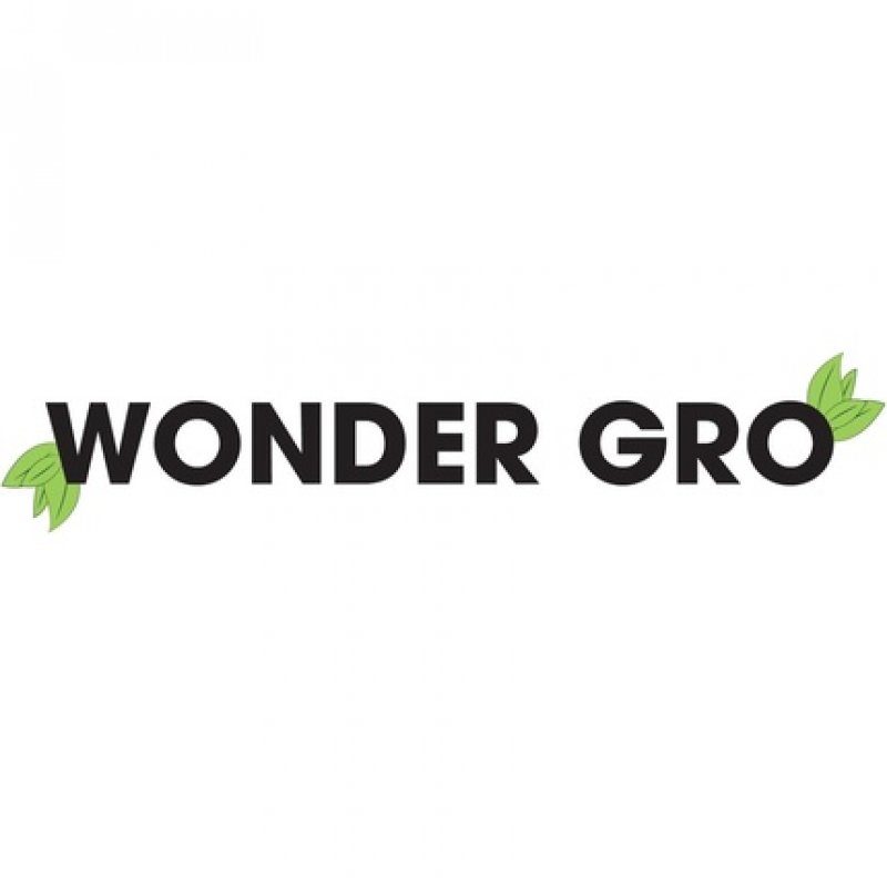 Wonder Gro Hair Growth Oil & Thermal Protection 4 fl oz