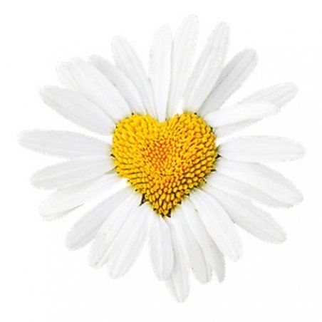 HIBROS Epilator Soap 150ml