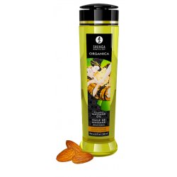 SHUNGA 0697309013123 massage cream & oil Massage oil 240 ml