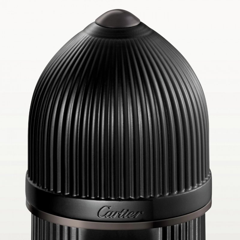 Cartier Pasha Noir Absolu 100 ml Hommes