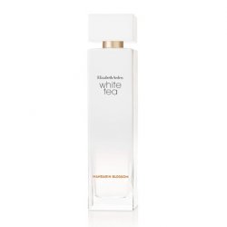 Elizabeth Arden Modern Spray Perfume for Women 3.3 Fl Oz