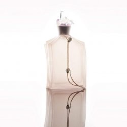 Stella Cadente Miss Me Discrete Eau De Toilette Spray 1.7 oz