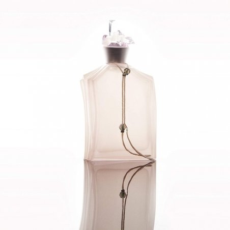 Stella Cadente Miss Me Discrete Eau De Toilette Spray 1.7 oz