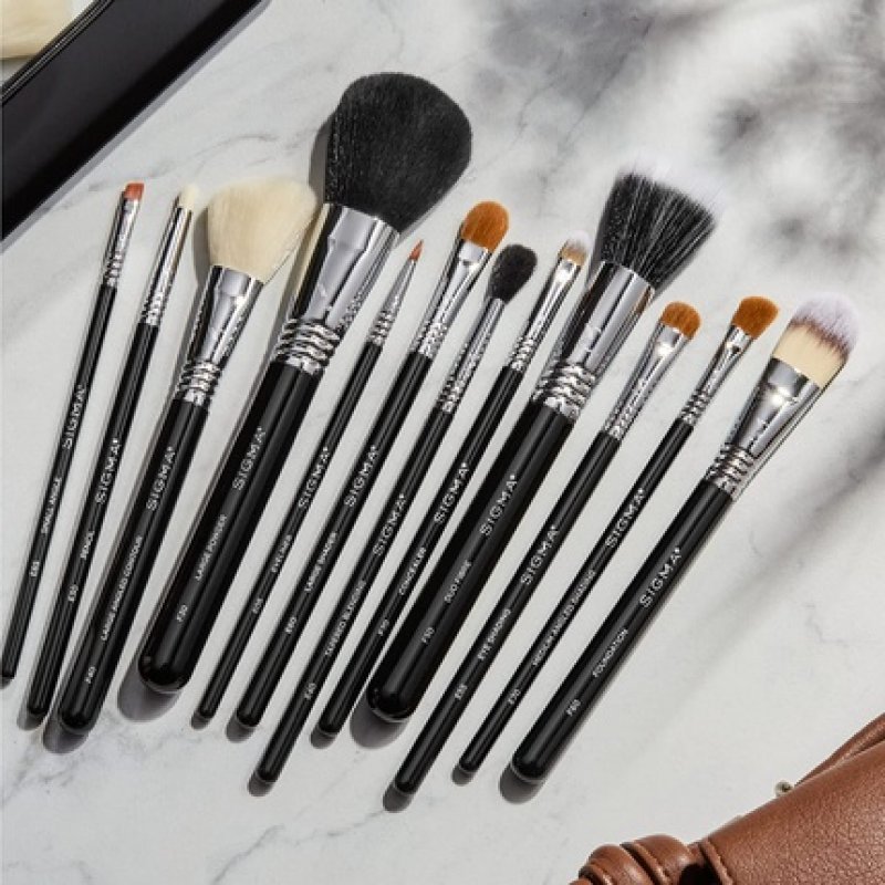 Sigma Beauty Essential Kit Set of 12 Brushes CK001