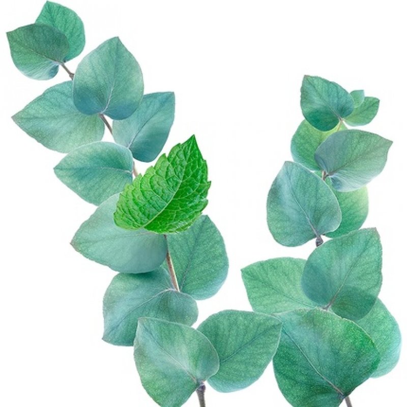 Kneipp Goodbye Stress Bath Oil