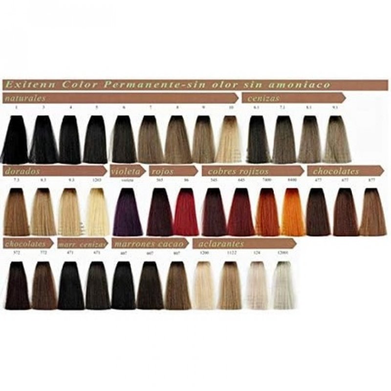 Exitenn Hair Colour Permanent Colour 60ml