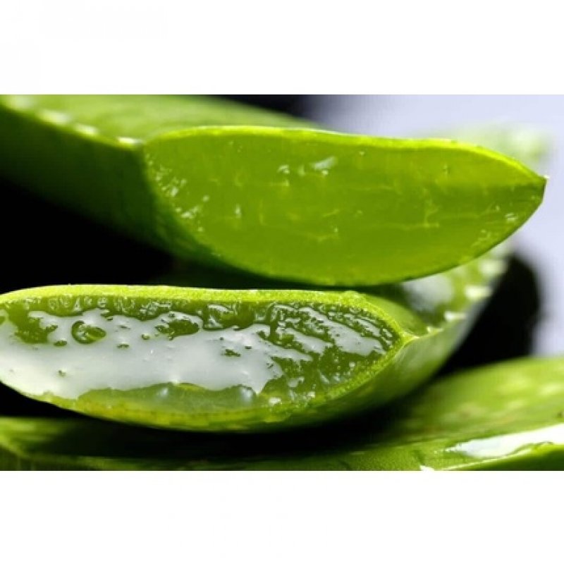 Flora By Ecoslab Aloe Moisturizing Regenerating Balm Dry Colored Hair 500ml