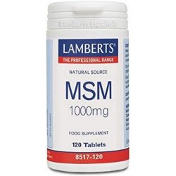 Lamberts MSM 1000mg 120 Capsules
