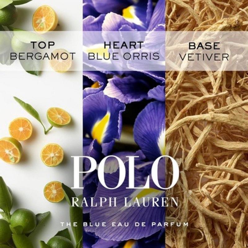 Ralph Lauren Polo Blue Eau de Parfum Men's Cologne Aquatic and Fresh with Citrus Bergamot and Vetiver Medium Intensity