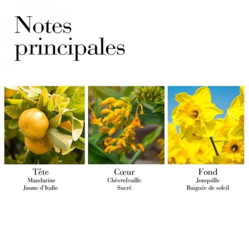 Elizabeth Arden Sunflowers Sunlight Kiss EDT Vapo 100ml