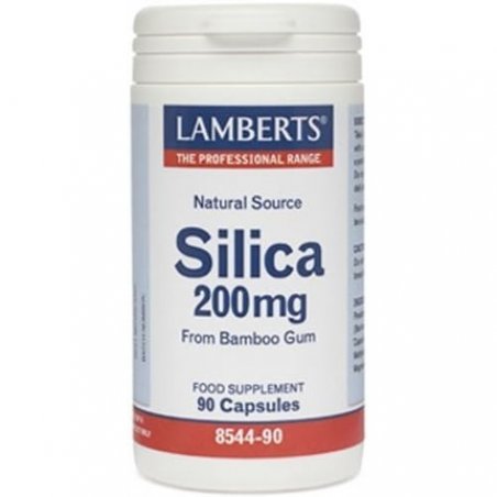 Lamberts Silica 200mg 90 Capsules