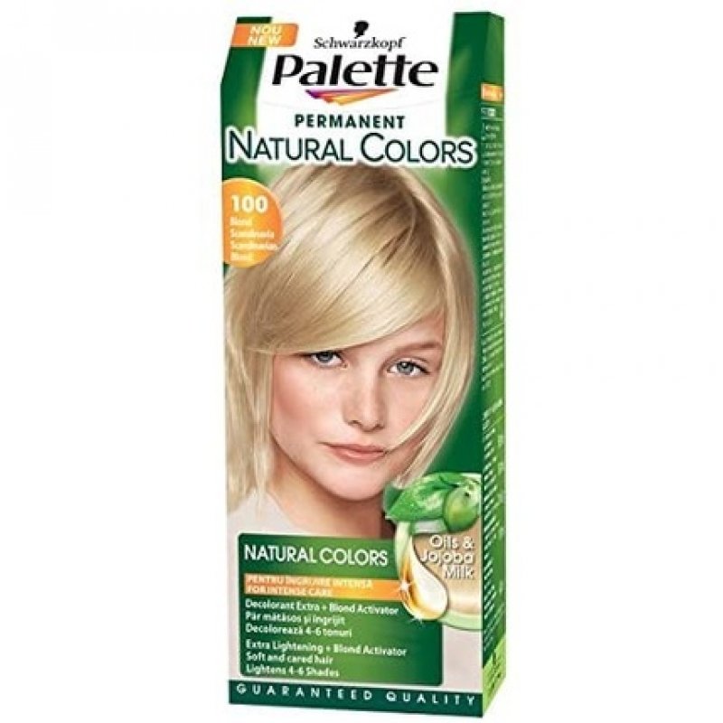 Palette Permanent Scandinavian Blonde Organic Salon Hair Color 100
