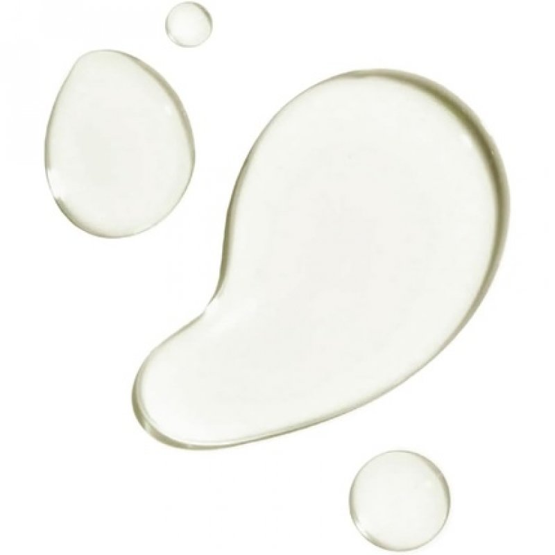 Teaology Bancha Oil 100ml