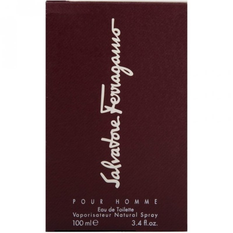 Salvatore Ferragamo for men Eau De Toilette 100ml Spray