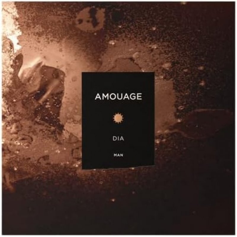 Amouage Dia Man Eau de Parfum 100ml
