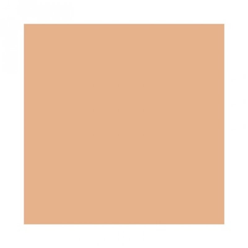 Mac Studio Fix Powder Plus Foundation NC55 15g