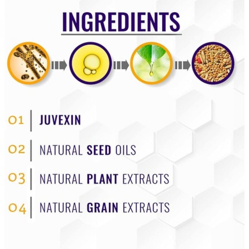 Gk Hair Global Keratin Silver Bombshell Purple Shampoo 710ml/24 Fl Oz For