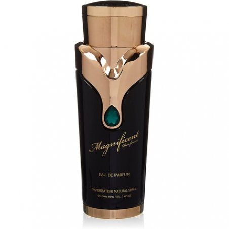 Armaf Magnificent Pour Femme Eau de Parfum 100ml Spray