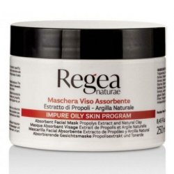 Regea Natura Face Absorbent Mask 250ml for Estheticians